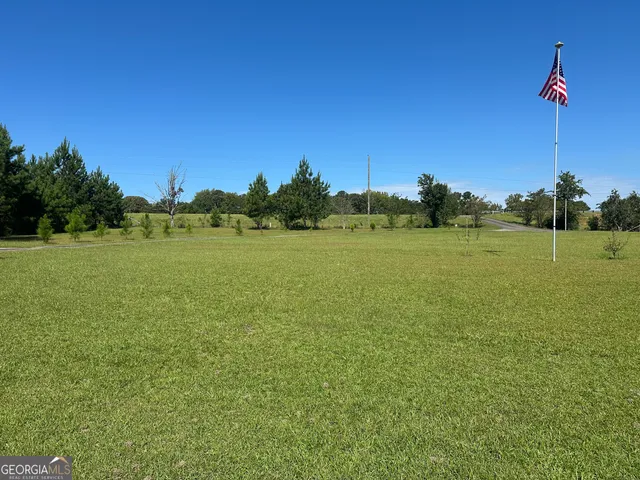 a view of a big yard with a large tree