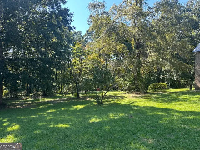 a view of park with trees