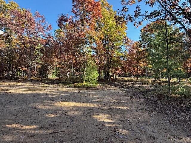 6710 West Dana's Circle Branch, MI 49402 - Photo 11 of 25 IMG_3174