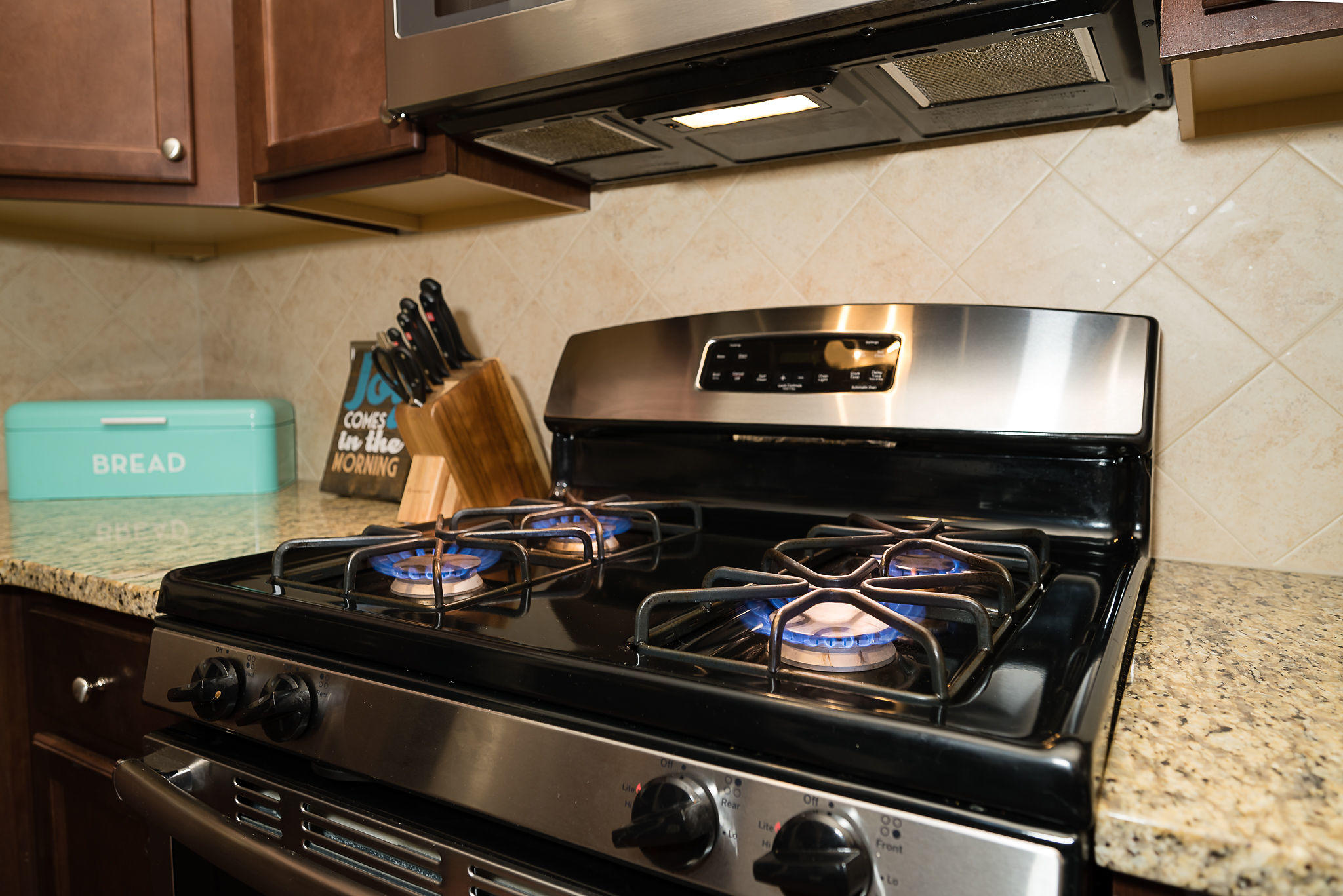 324 Beautyberry Road Summerville, SC 29486 - Photo 14 of 57 Gas Range