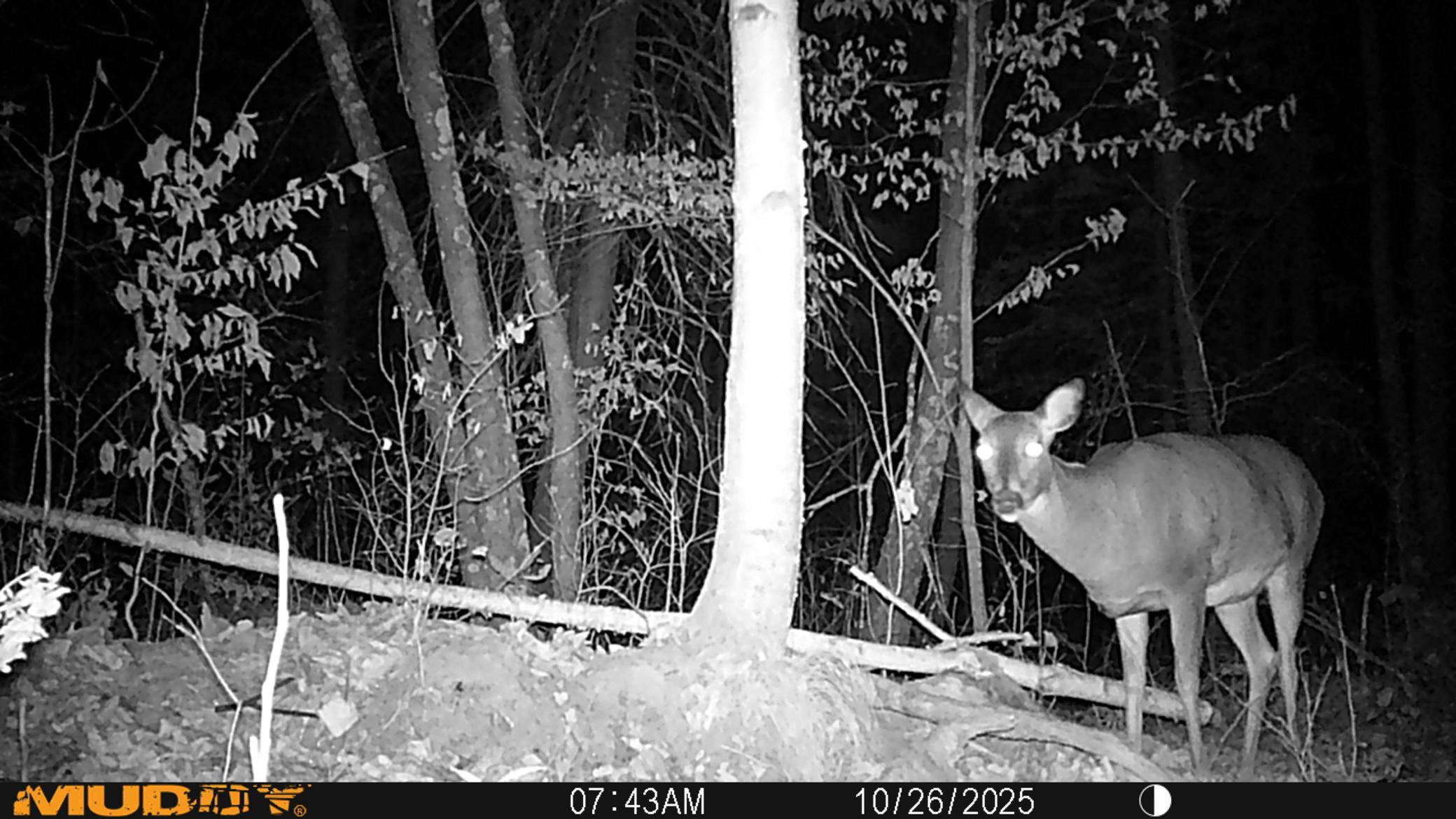 57391 Duncan Road Sandstone, MN 55072 - Photo 38 of 48 Gallery Image 38