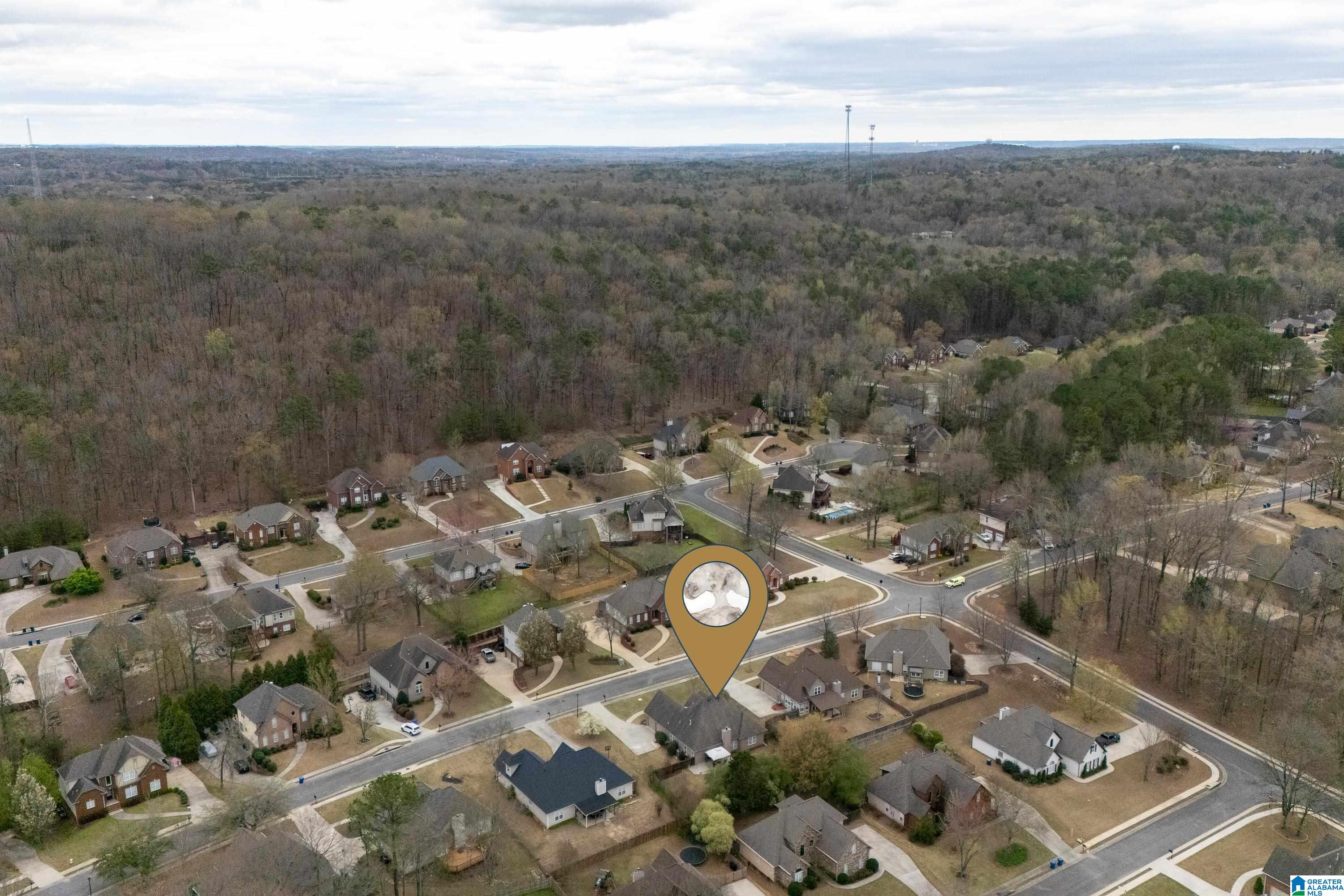 209 Lake Forest Way Alabaster, AL 35114 - Photo 43 of 56 Gallery Image 43
