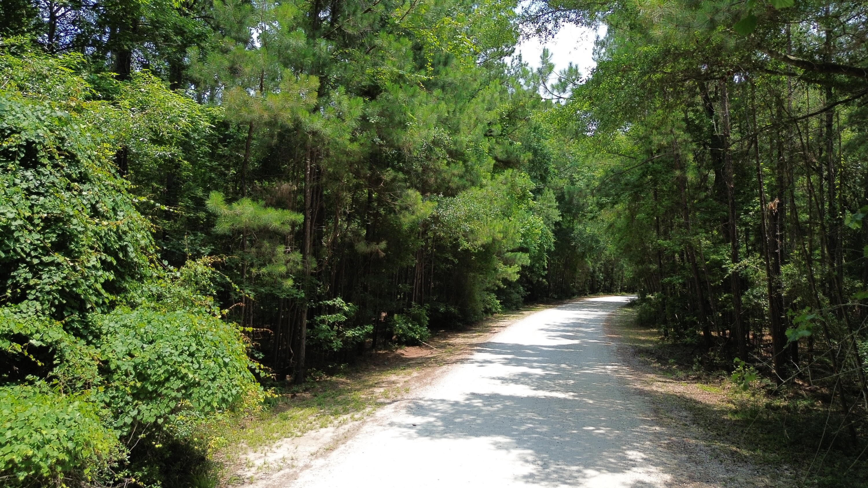 4 Preserve Road Johns Island, SC 29455 - Photo 12 of 12 DJI_0055