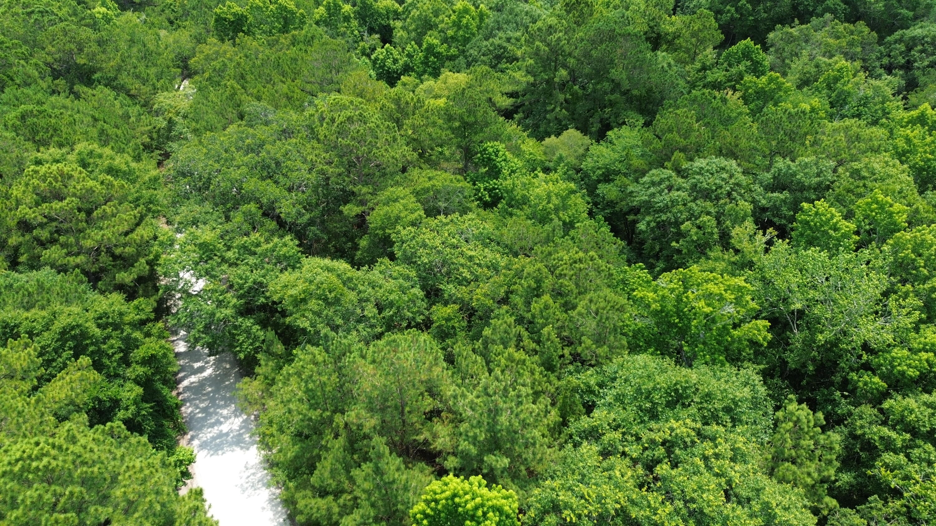 4 Preserve Road Johns Island, SC 29455 - Photo 3 of 12 Aerial View
