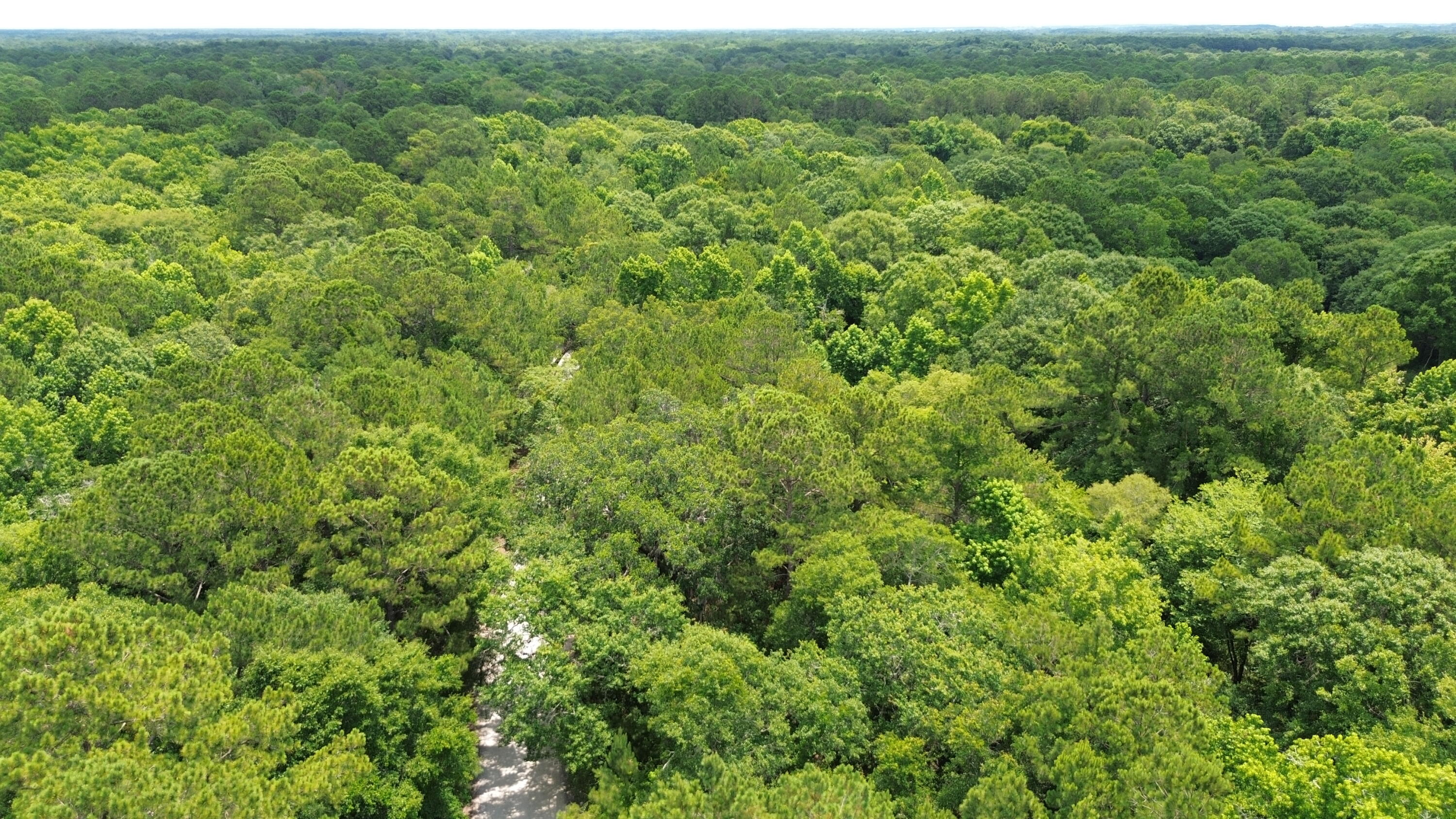 4 Preserve Road Johns Island, SC 29455 - Photo 4 of 12 Aerial View