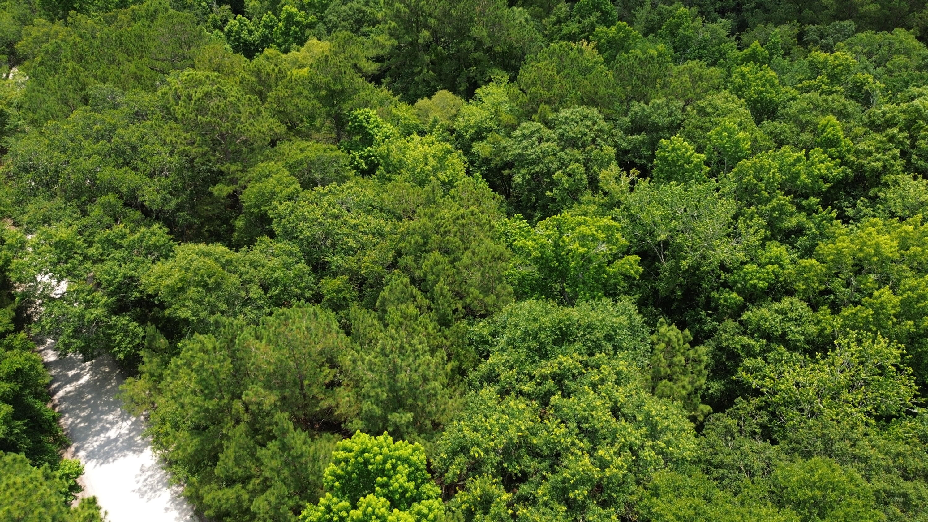 4 Preserve Road Johns Island, SC 29455 - Photo 5 of 12 Aerial View
