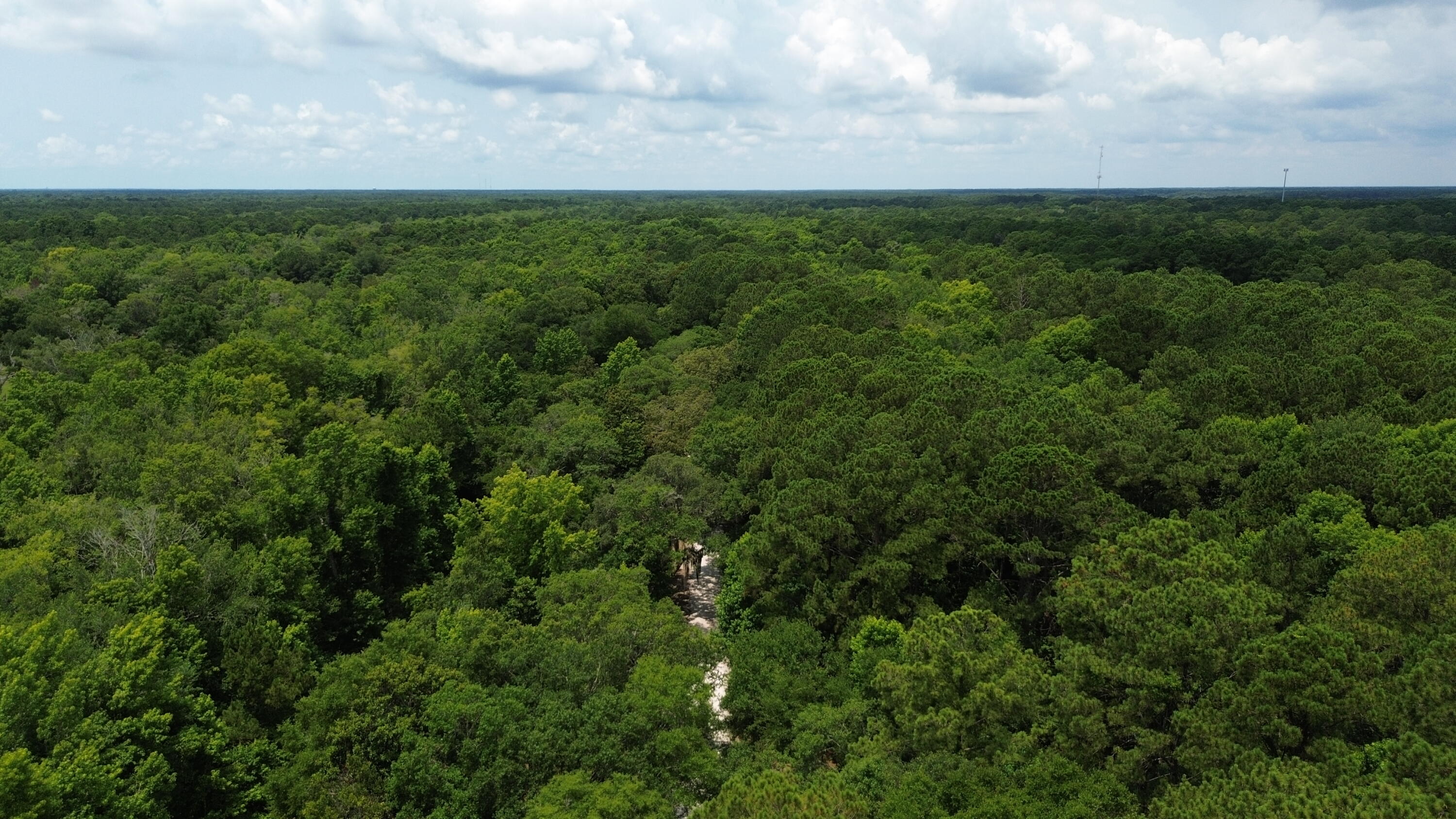 4 Preserve Road Johns Island, SC 29455 - Photo 6 of 12 Aerial View