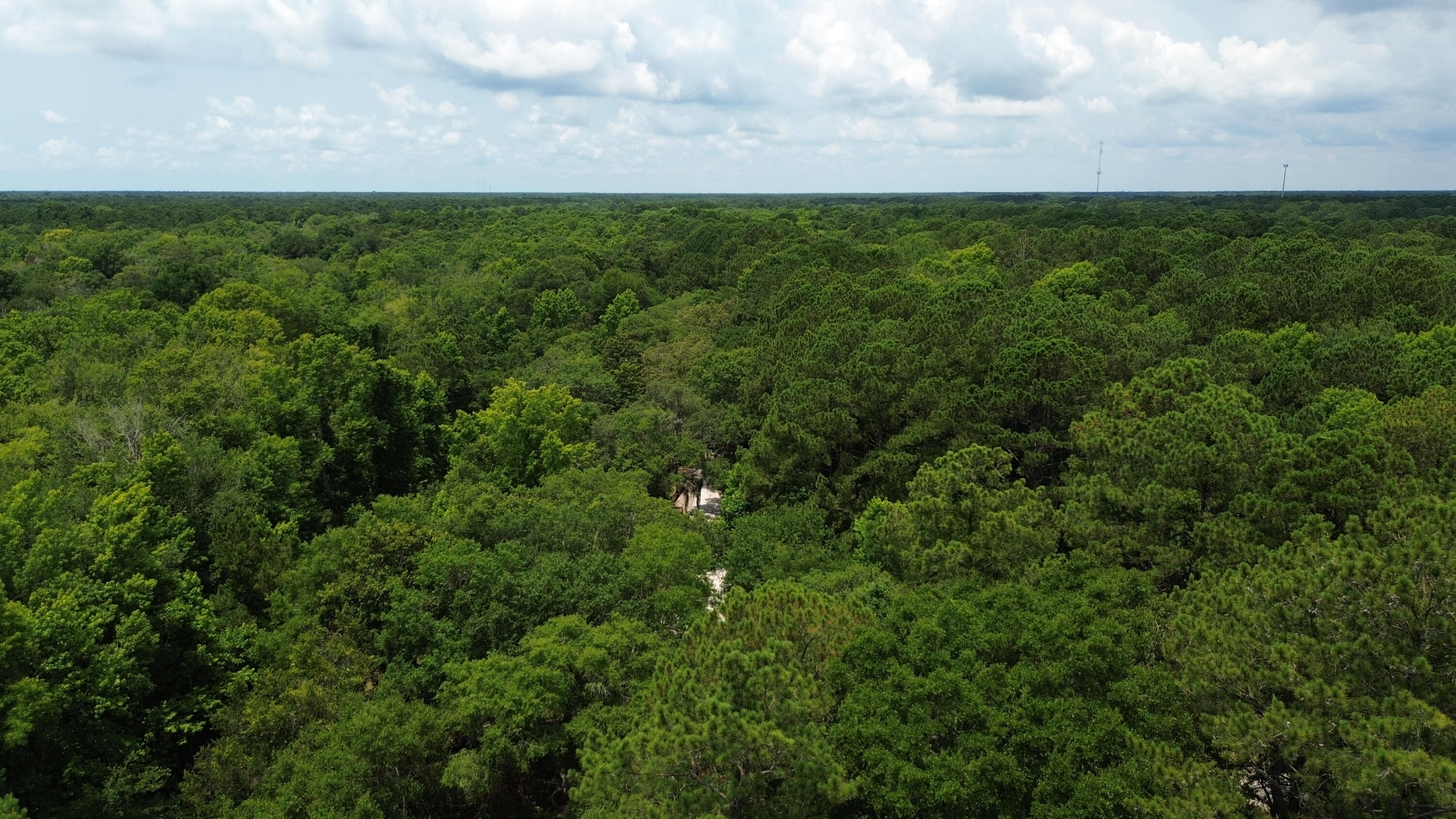 4 Preserve Road Johns Island, SC 29455 - Photo 7 of 12 DJI_0043