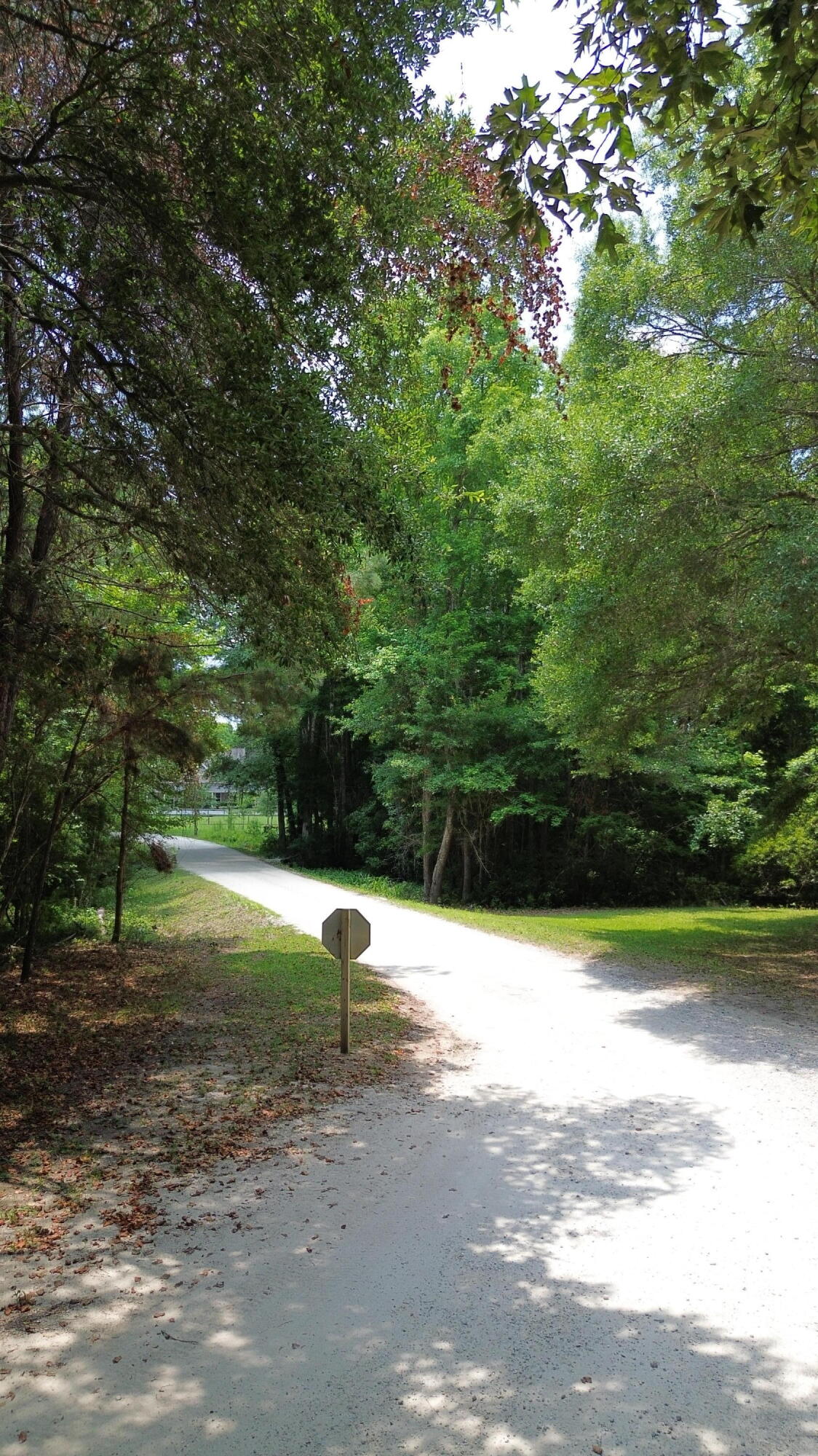 4 Preserve Road Johns Island, SC 29455 - Photo 9 of 12 DJI_0051
