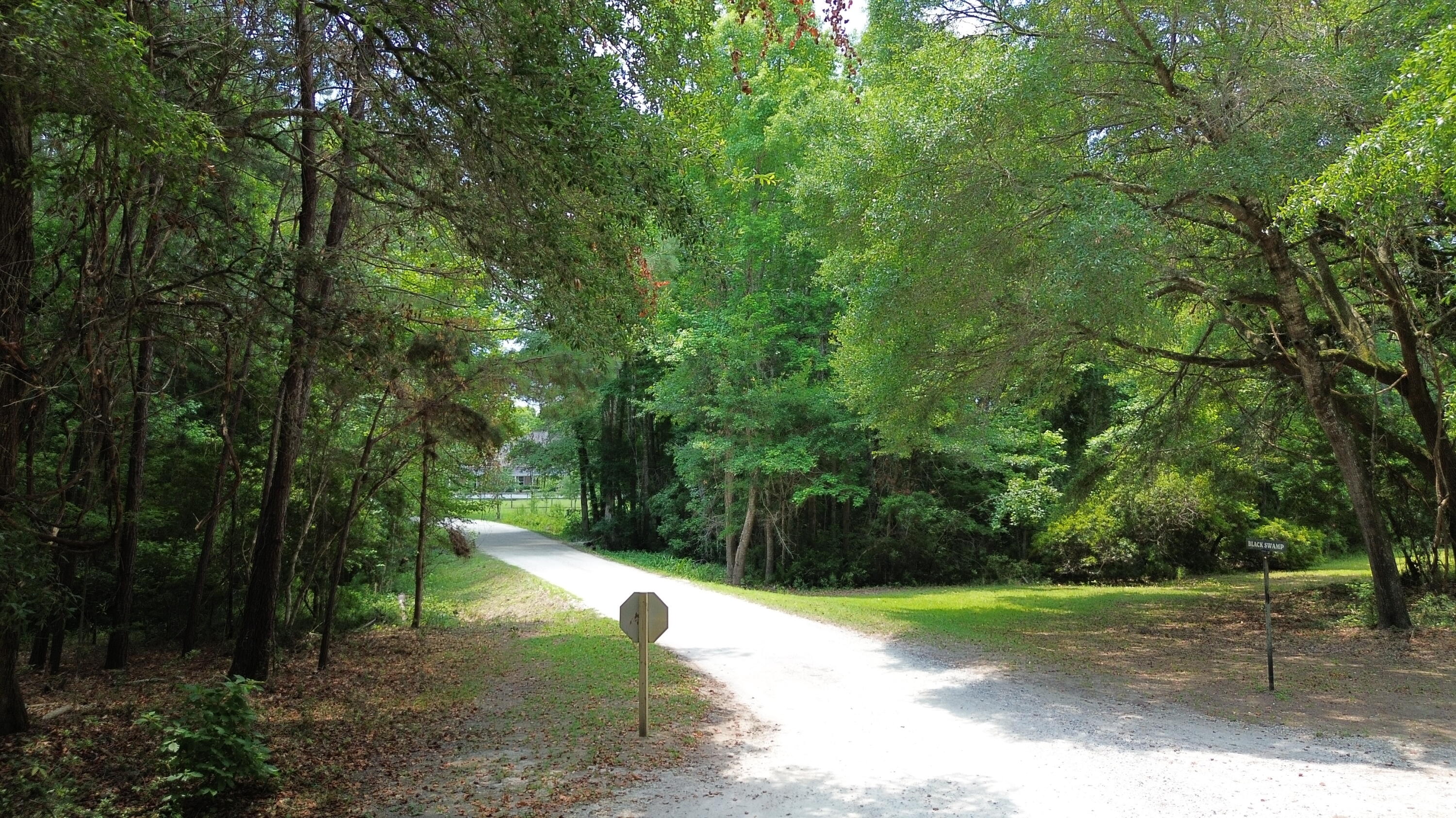 4 Preserve Road Johns Island, SC 29455 - Photo 10 of 12 DJI_0052