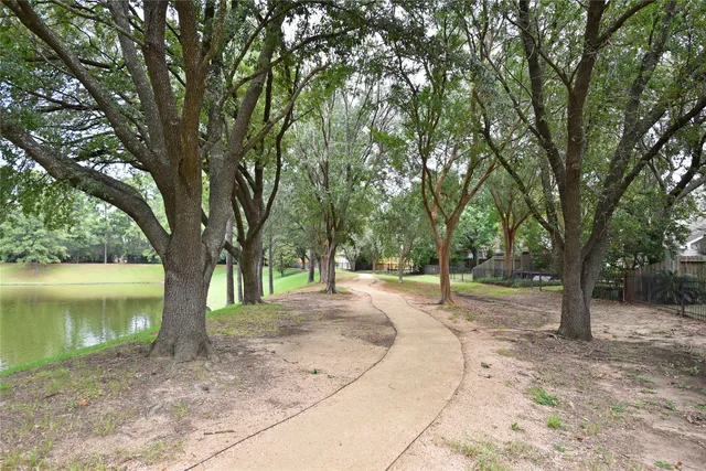 a view of a tree in the middle of a yard