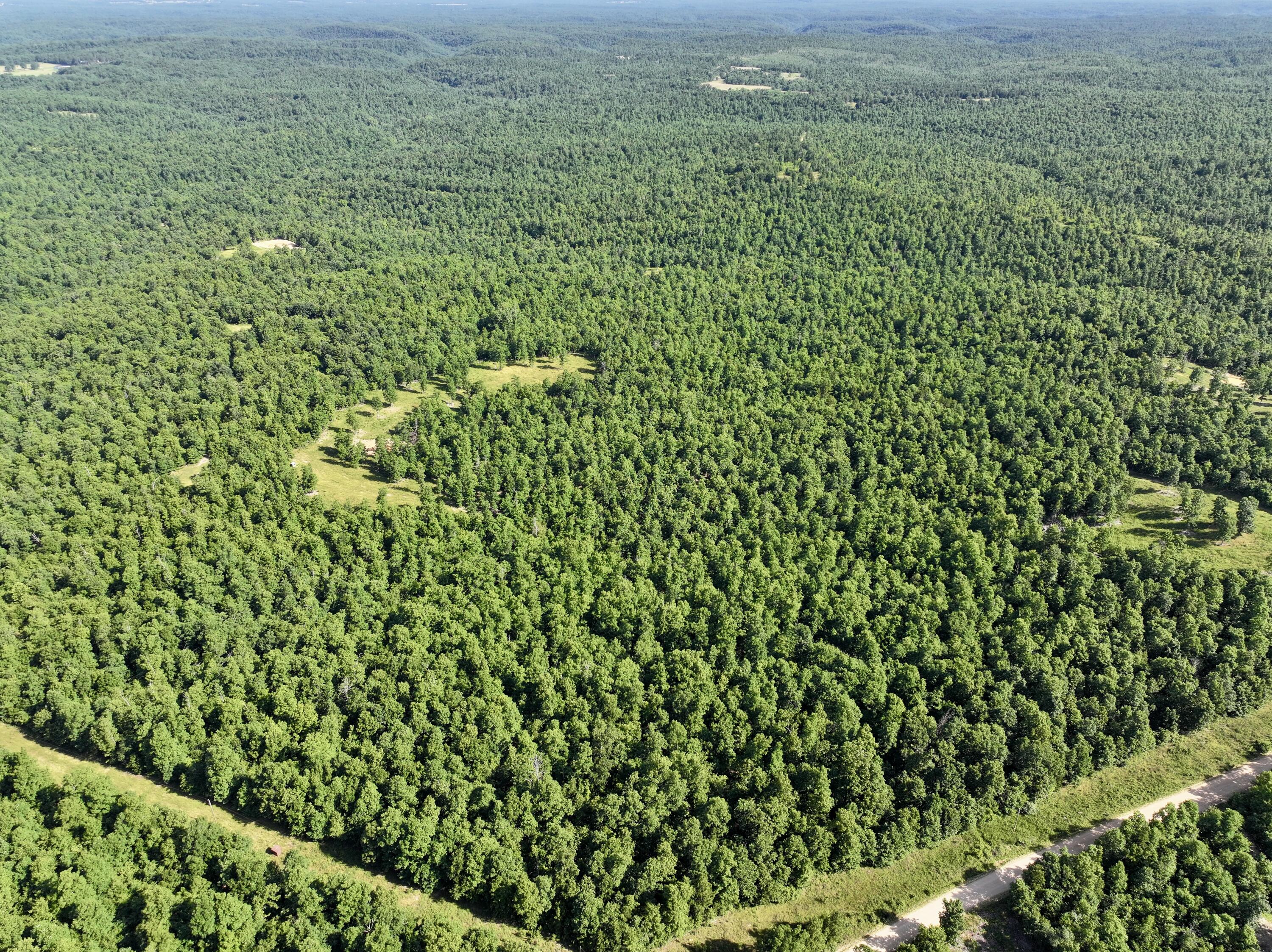 0 County Rd FF-459 Birch Tree, MO 65438 - Photo 9 of 55 dji_fly_20260618_063234_0200_17818785203