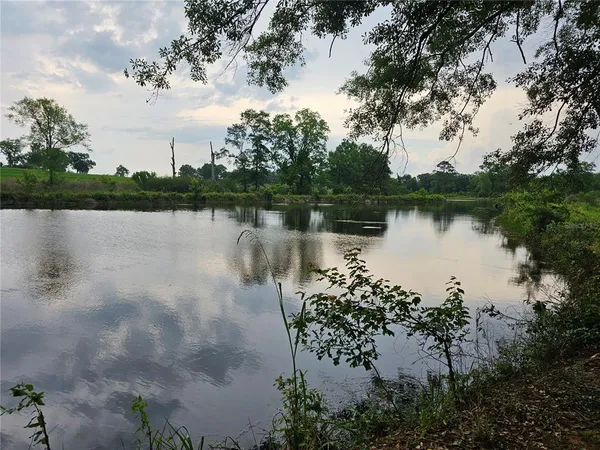 a body of water with a tree in the background
