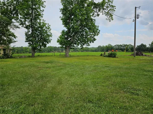 a view of a grassy field with trees in the background