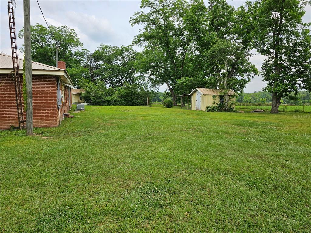 3602 Robert Murphy Road Graceville, FL 32440 - Photo 32 of 39 a view of a back yard