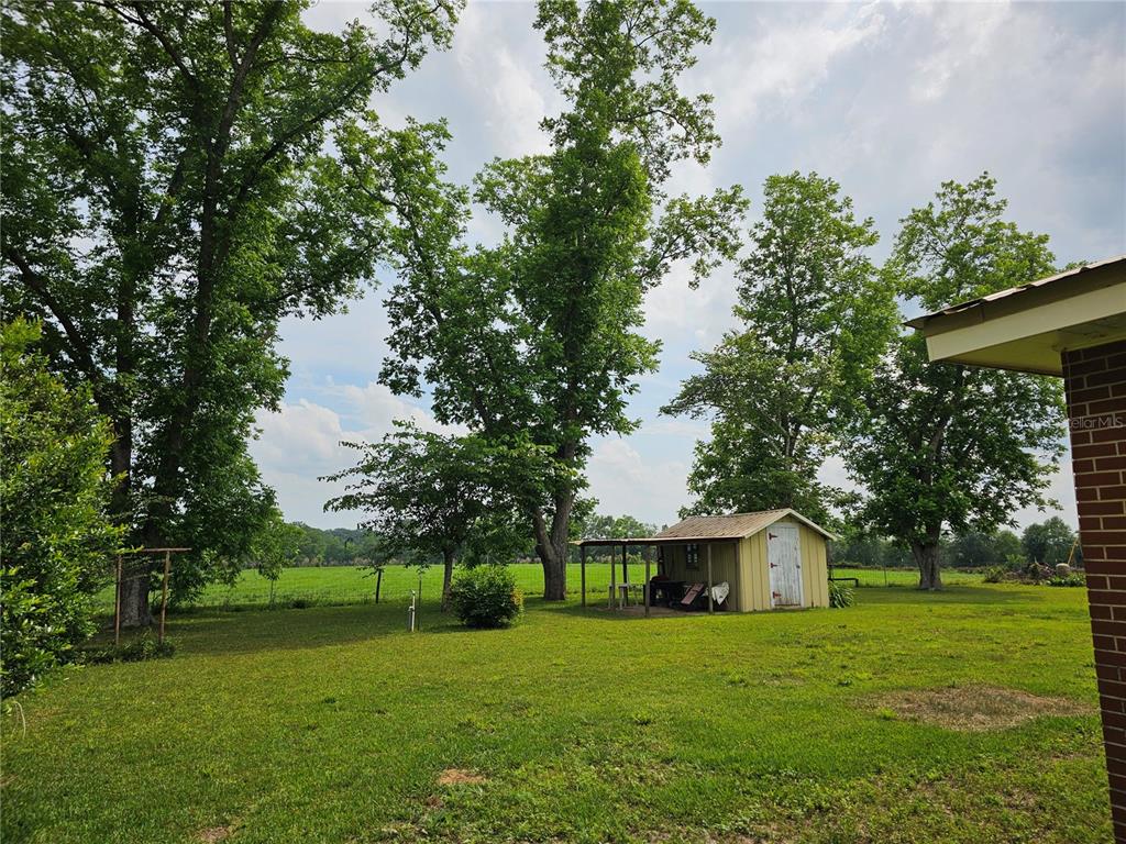 3602 Robert Murphy Road Graceville, FL 32440 - Photo 33 of 39 a front view of a house with a yard and trees
