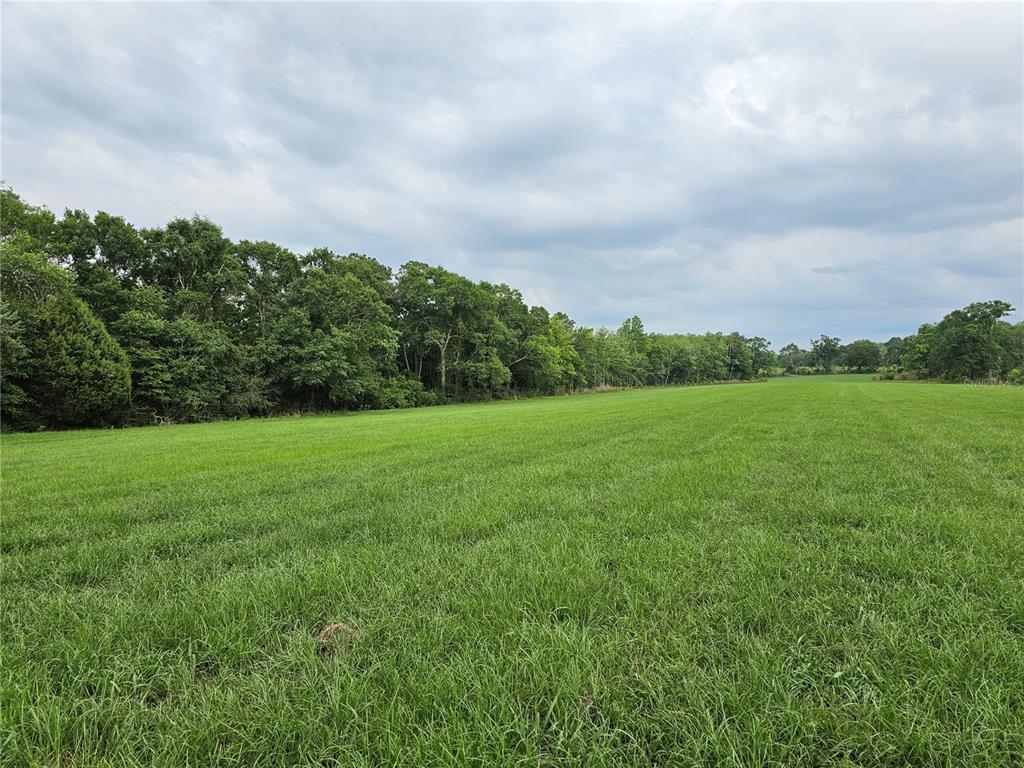 3602 Robert Murphy Road Graceville, FL 32440 - Photo 36 of 39 a view of a green field with wooden fence