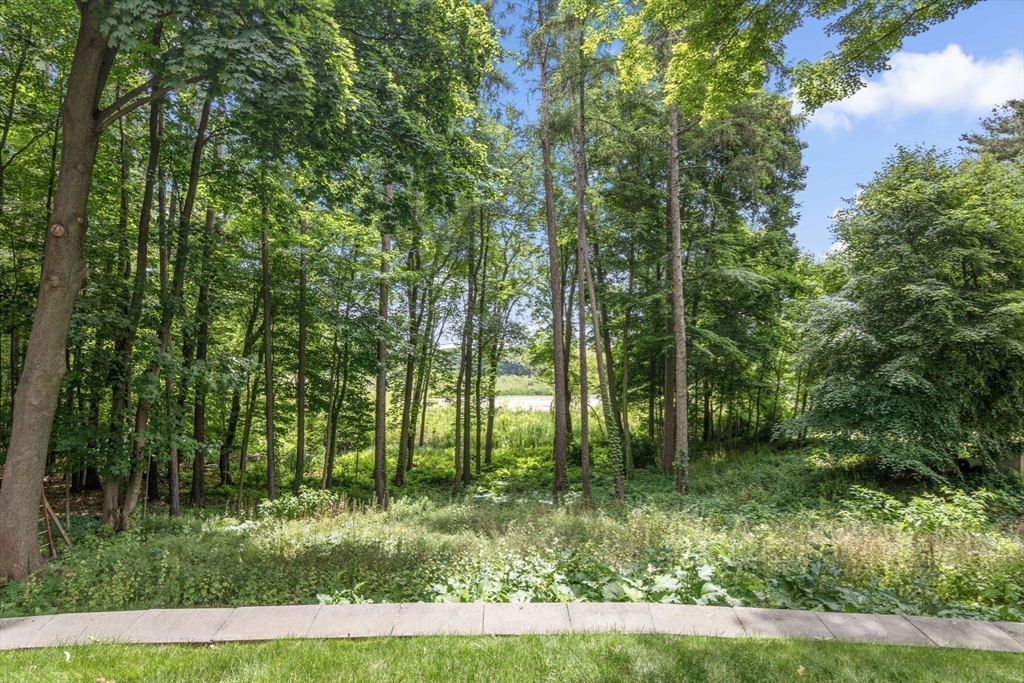 13 Spring Street Danvers, MA 01923 - Photo 37 of 39 a view of backyard with green space
