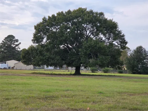 a house with trees in front of it