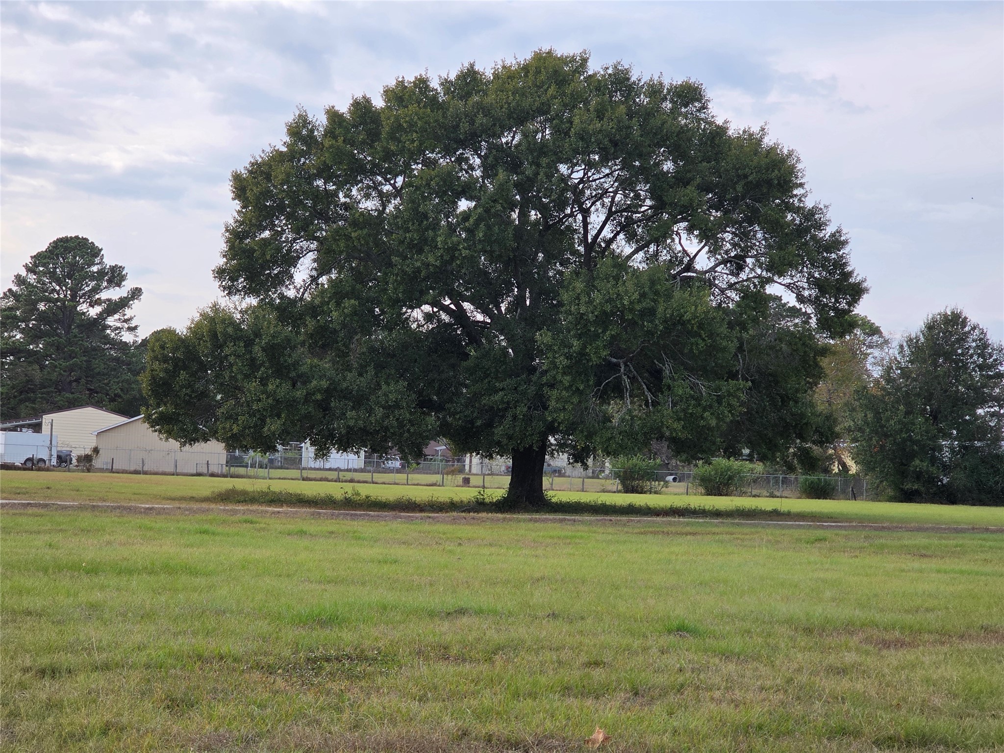 27303 Decker Prairie-Rosehill Road Magnolia, TX 77355 - Photo 4 of 9 a view of outdoor space with trees
