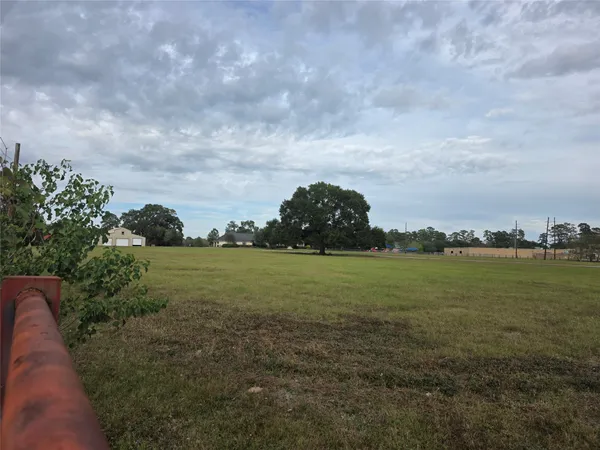 a view of a big yard with plants and a large tree