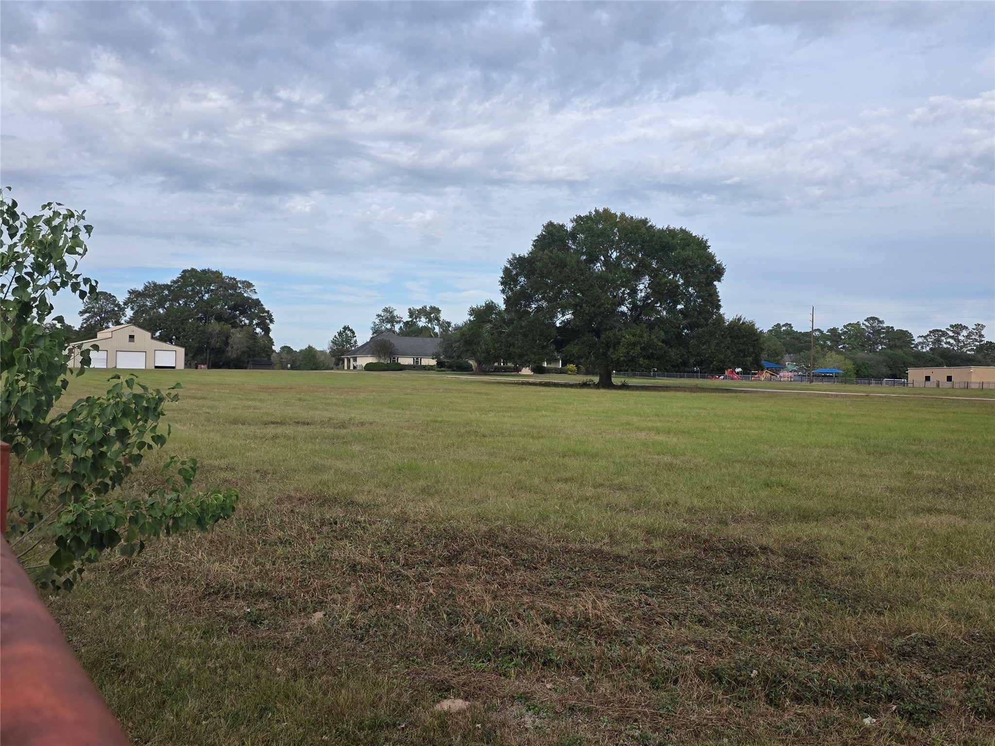 27303 Decker Prairie-Rosehill Road Magnolia, TX 77355 - Photo 7 of 9 a view of a big yard with plants and a large tree