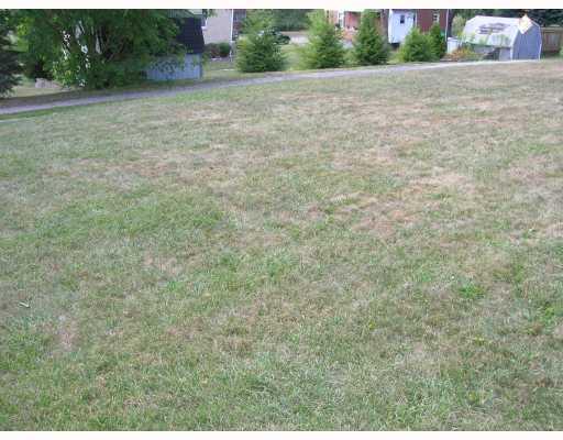 407 Soose Road Pittsburgh, PA 15209 - Photo 13 of 13 Land/Lot. The level back yard adjoins an alley which would enable the new owner to create off street parking