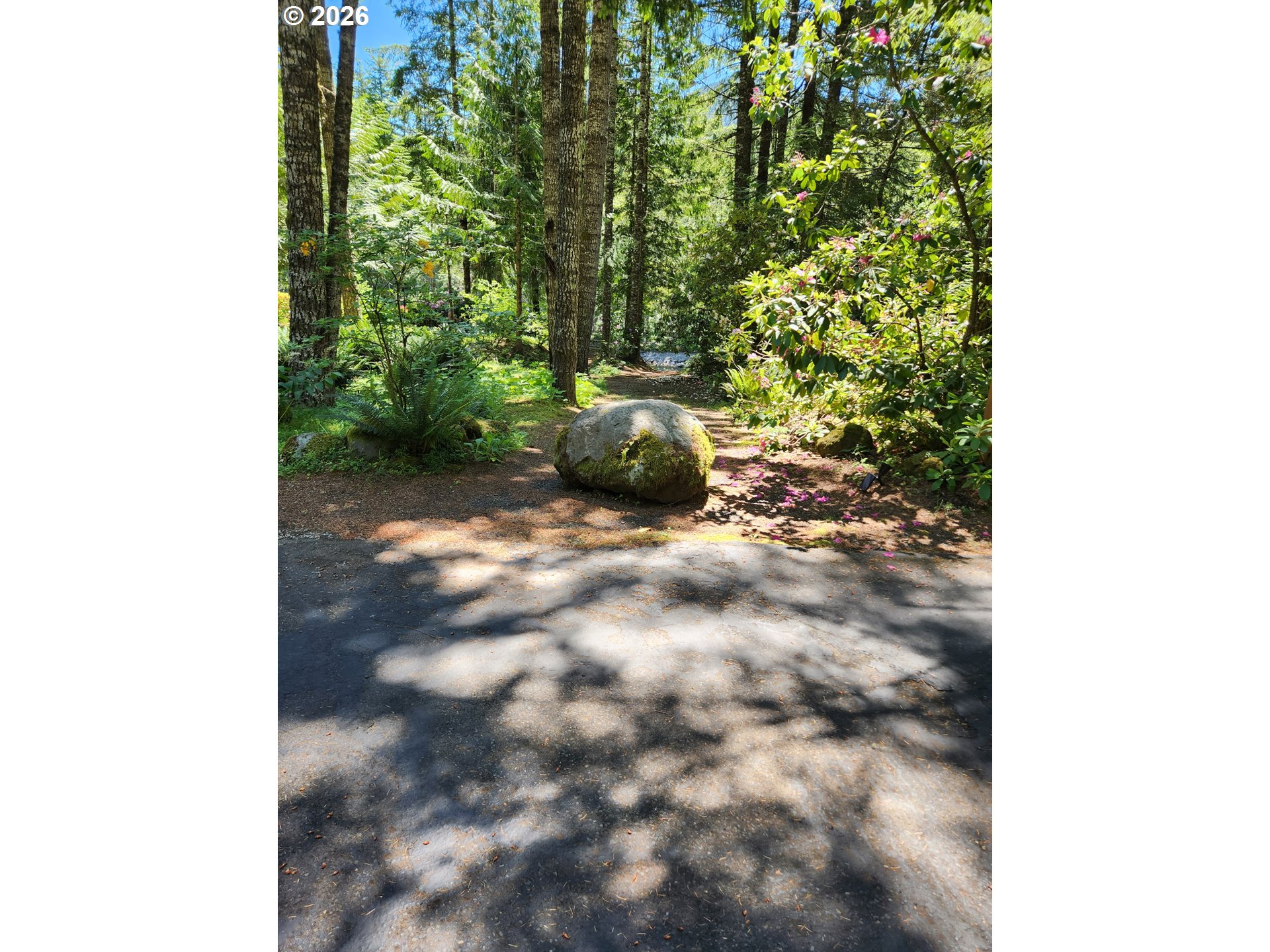 69881 East Alpine Court North Rhododendron, OR 97049 - Photo 7 of 48