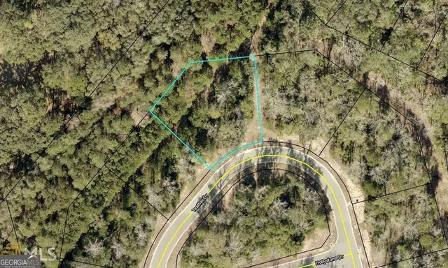 a bird view of a house