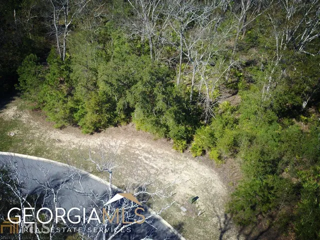 a view of a yard with an tree