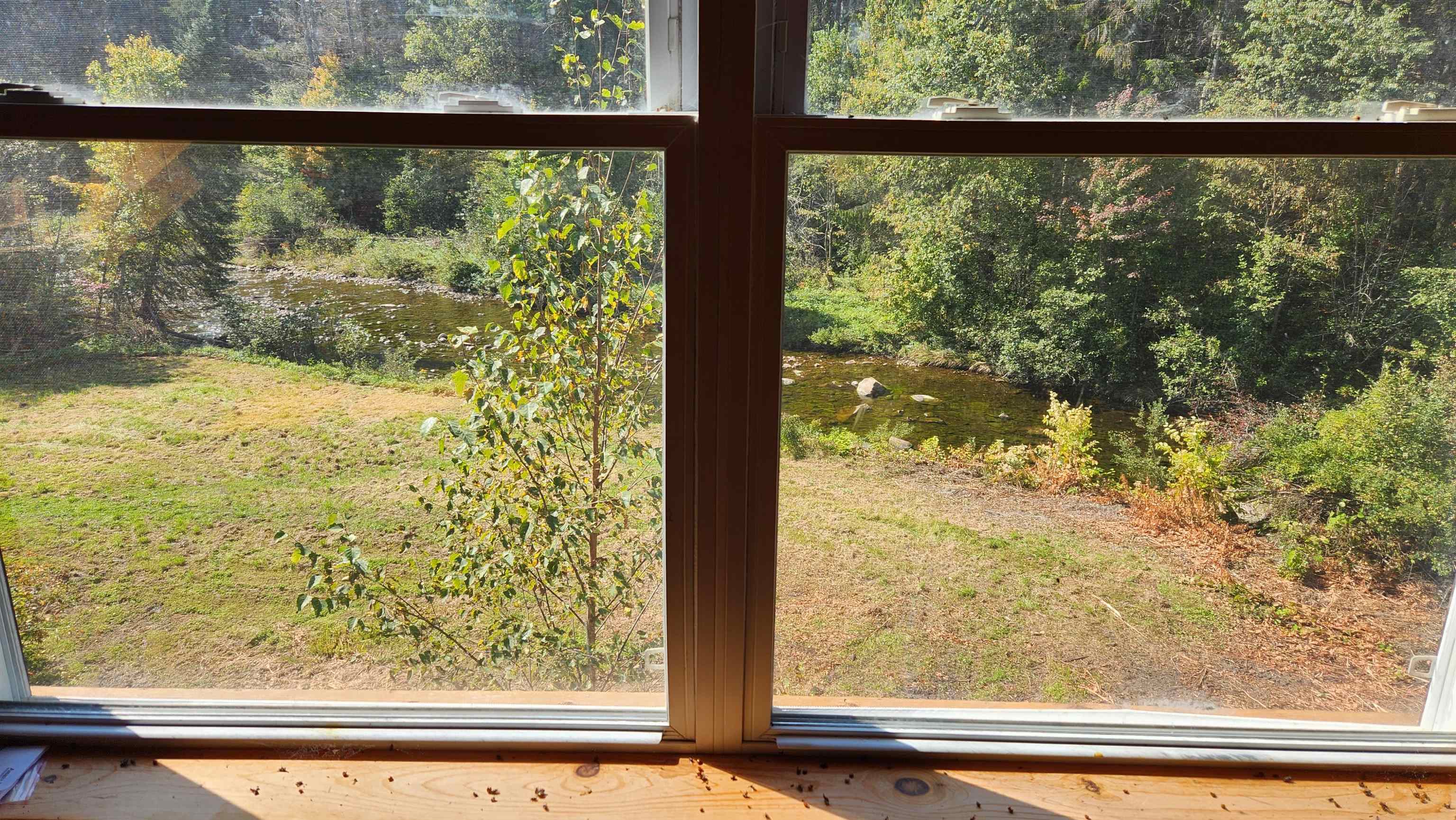 79 Lund Lane Granby, VT 05840 - Photo 40 of 59