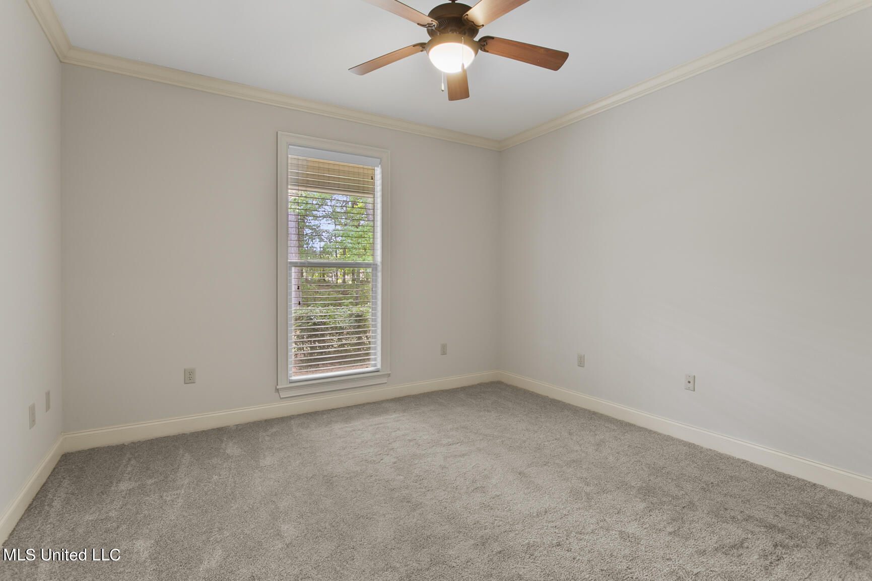 117 Speers Valley Road Brandon, MS 39042 - Photo 27 of 32 117 Speers Valley Road final-28