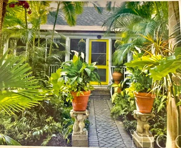 a potted plant is sitting in front of a yellow house