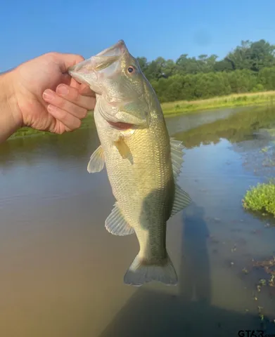 a view of a lake view