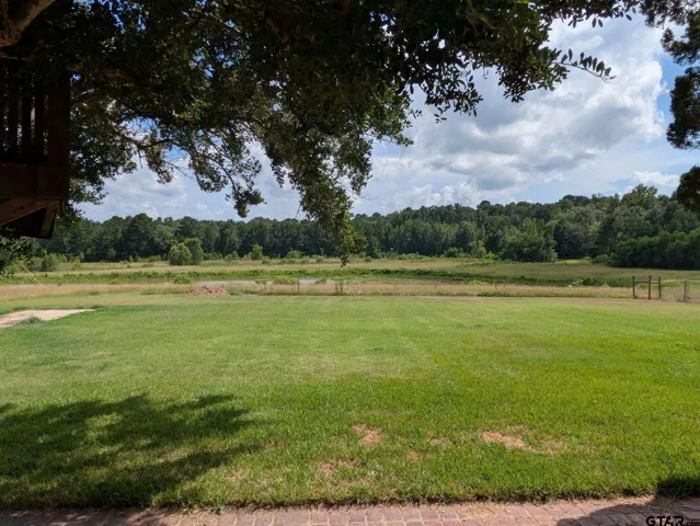 a view of a field with a tree in the background