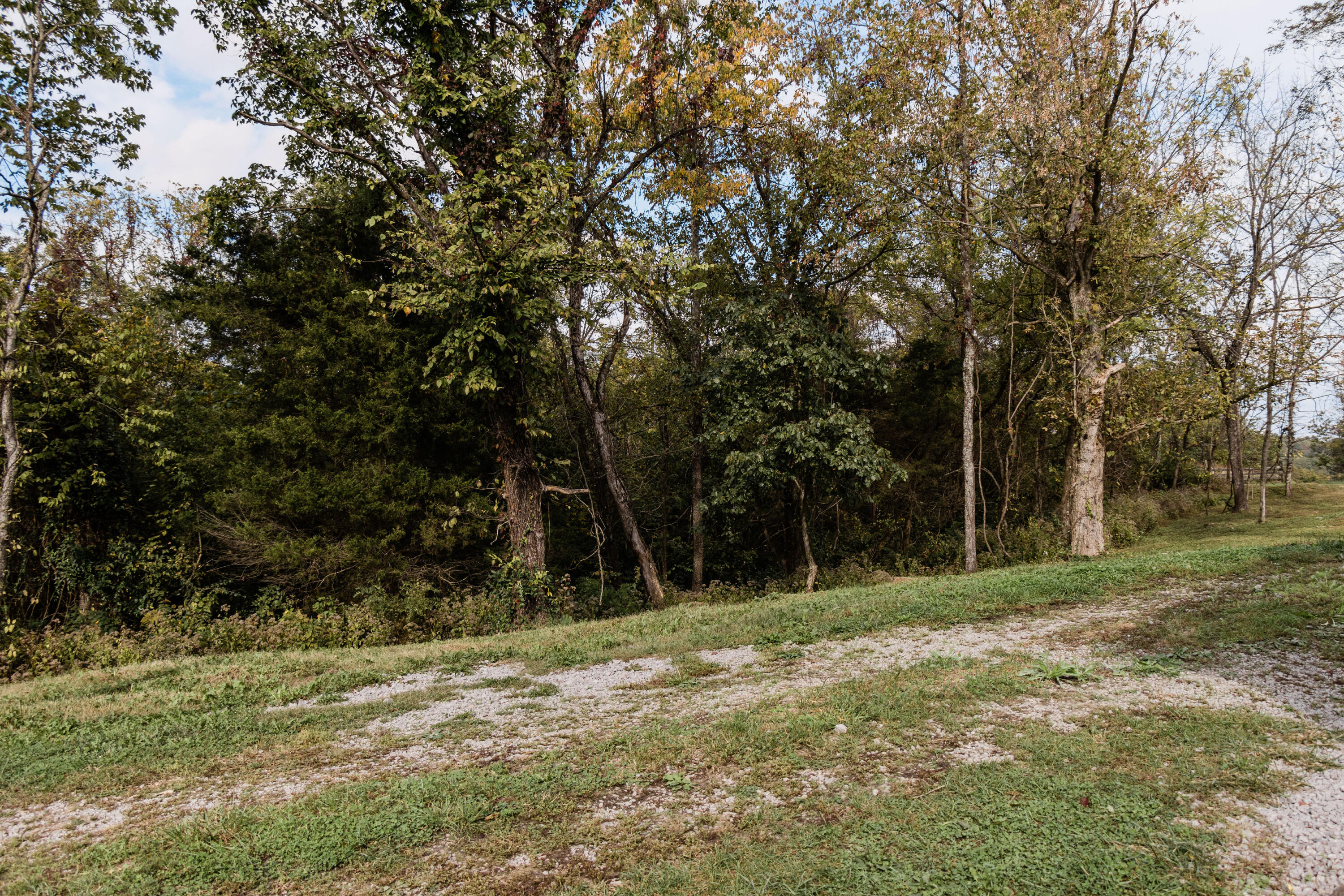 264 Richie Road Carlisle, KY 40311 - Photo 11 of 73 8