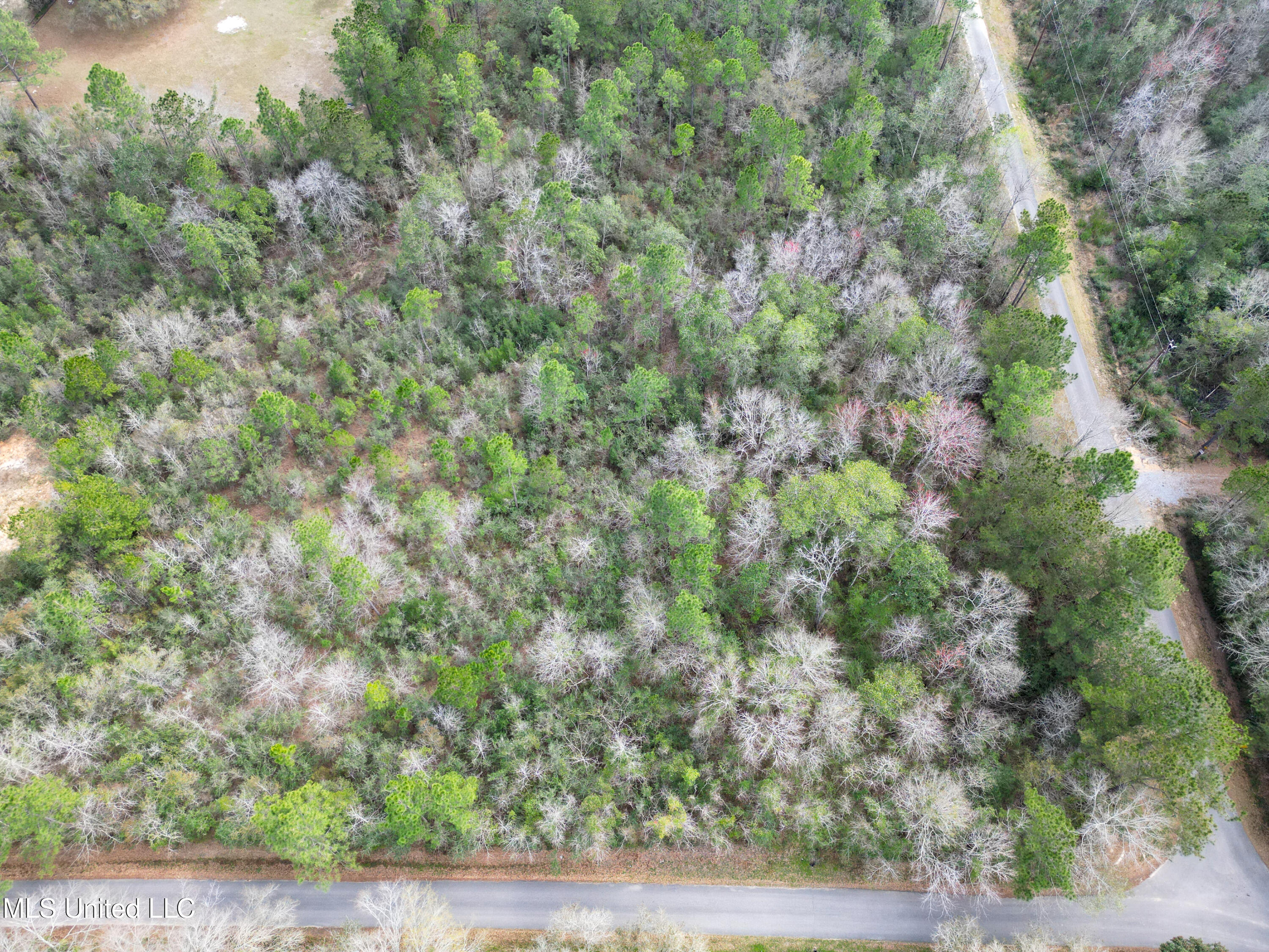6125 Hayward E Ladner Road Kiln, MS 39556 - Photo 6 of 6 DJI_0945