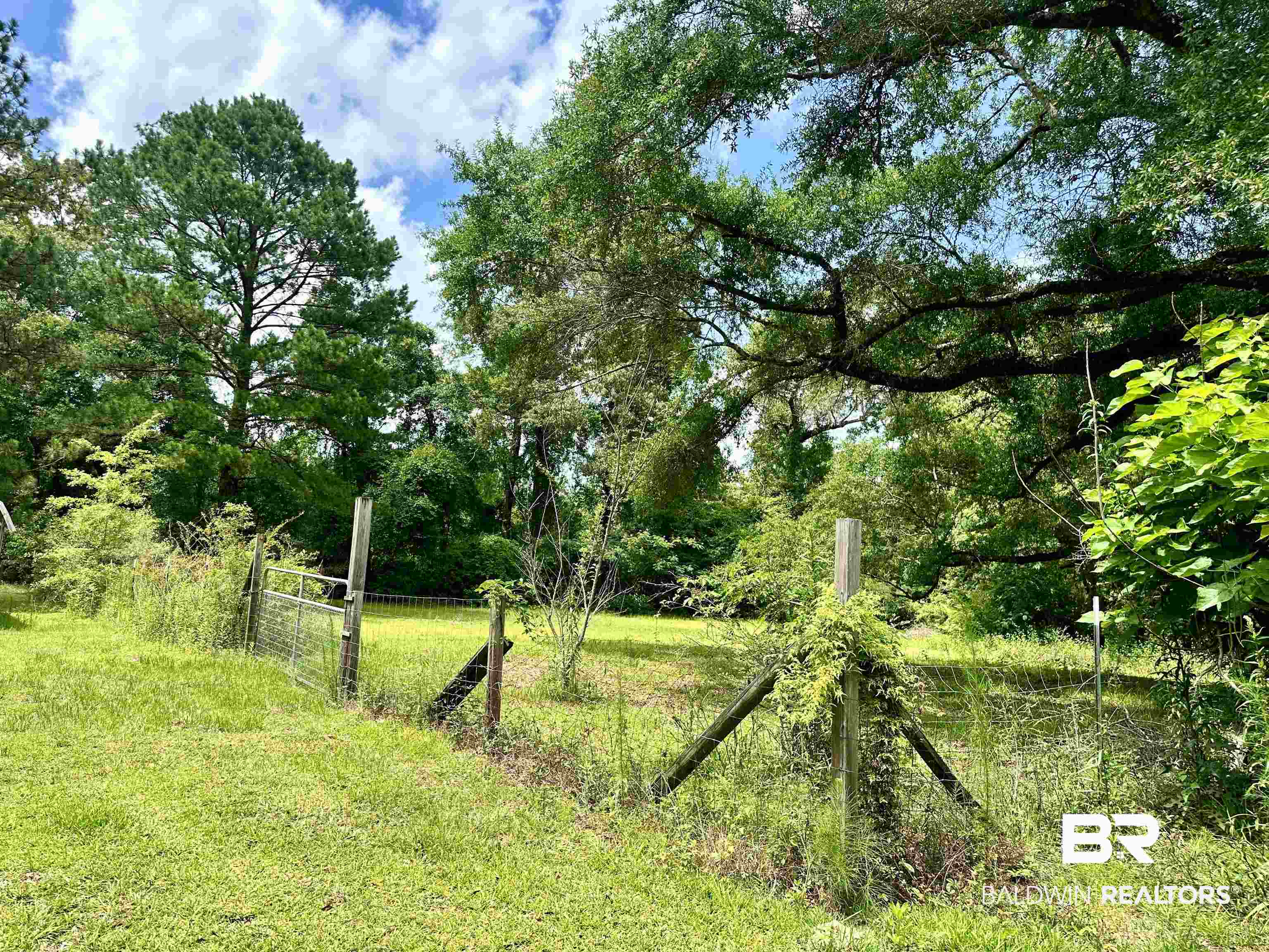 11281 Highway 29 Brewton, AL 36426 - Photo 5 of 12