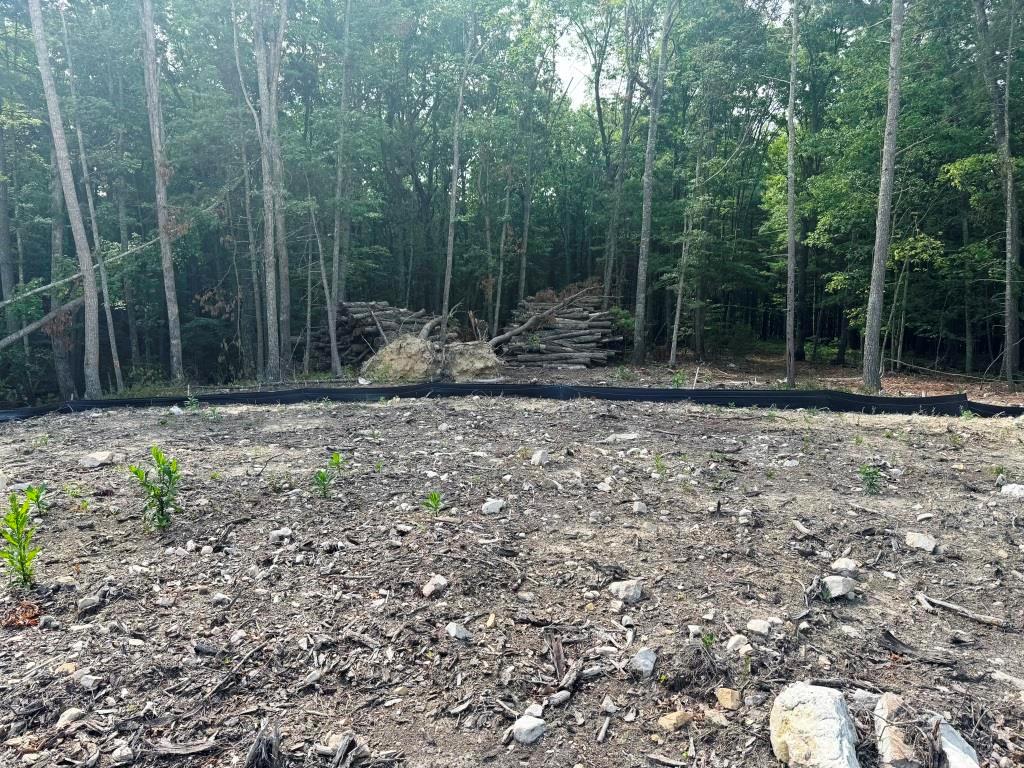 92-ac Shady Forrest Road Max Meadows, VA 24360 - Photo 19 of 26 Gallery Image 19