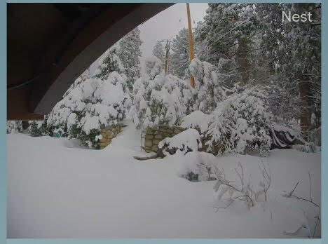 25835 Wayne Road Idyllwild, CA 92549 - Photo 54 of 54 IMG_E0028