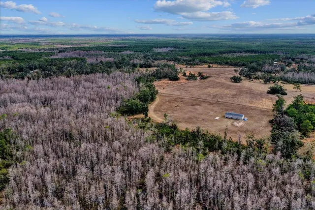 $270,000 | 6940 Calvin Morgan, Perry, FL 32348