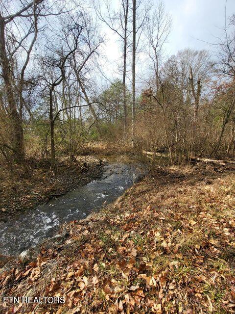 0 Hudlow Loop Road Dunlap, TN 37327 - Photo 7 of 10 7