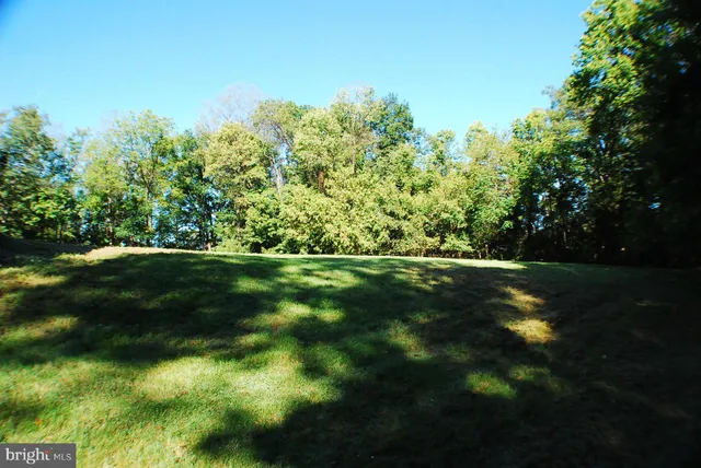 a view of yard with green space
