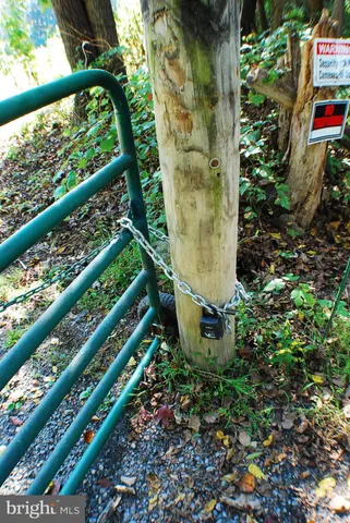 a bird view of a garden