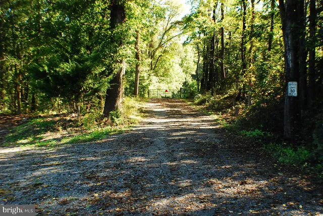 a view of a yard with trees