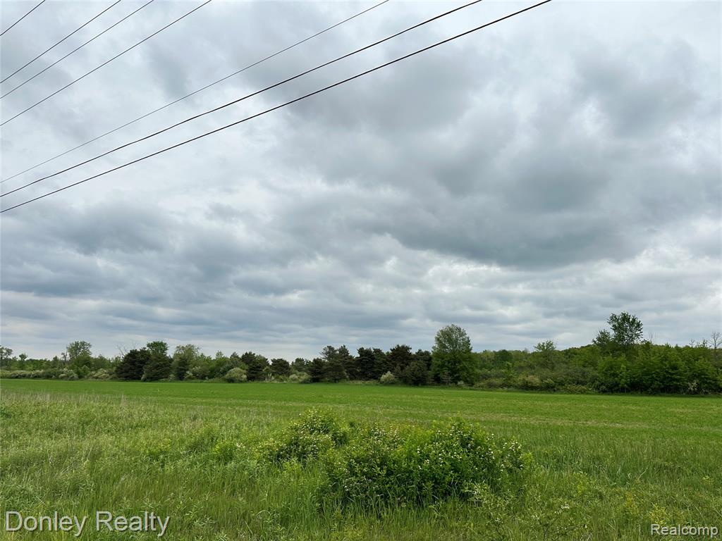 V/l Warner Road Cass City, MI 48729 - Photo 6 of 8 Gallery Image 6