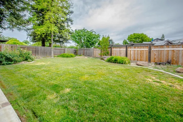 a view of a backyard with large trees and wooden fence