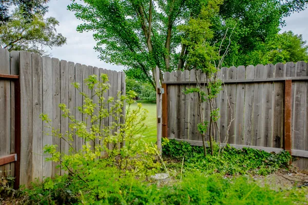 a view of small garden with wooden fence