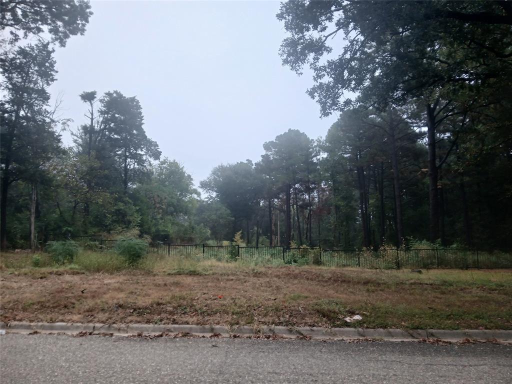 0 Mill Run Road Athens, TX 75751 - Photo 1 of 2