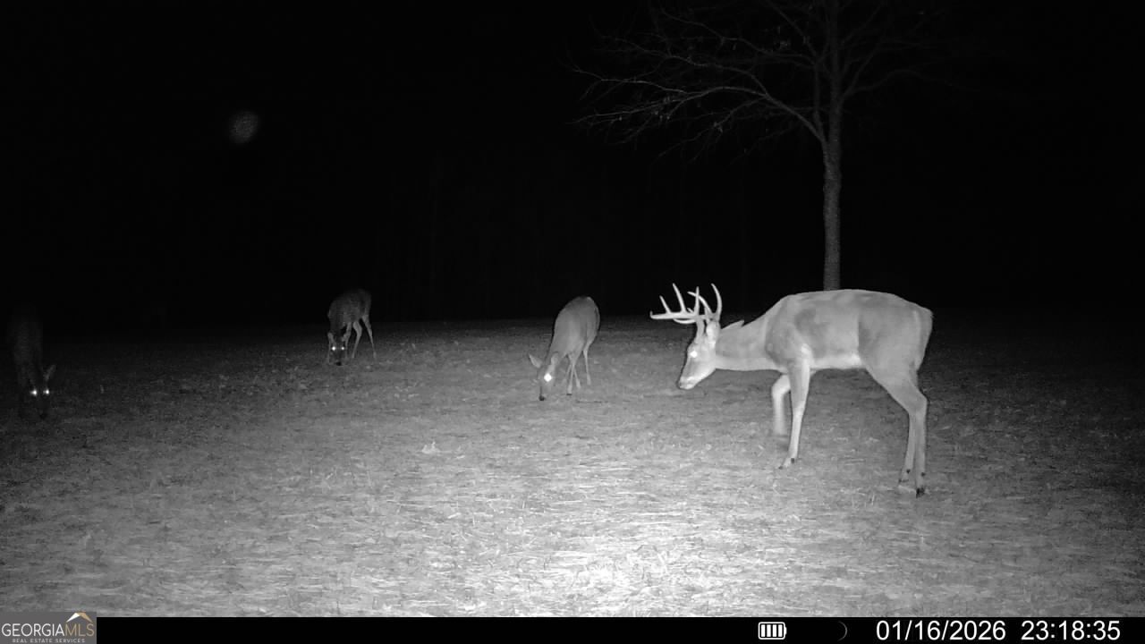 2285 Cherokee Road Comer, GA 30629 - Photo 34 of 34